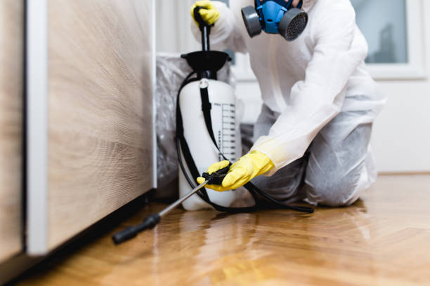 Best Local Pest Control Services  in Schwenksville, PA