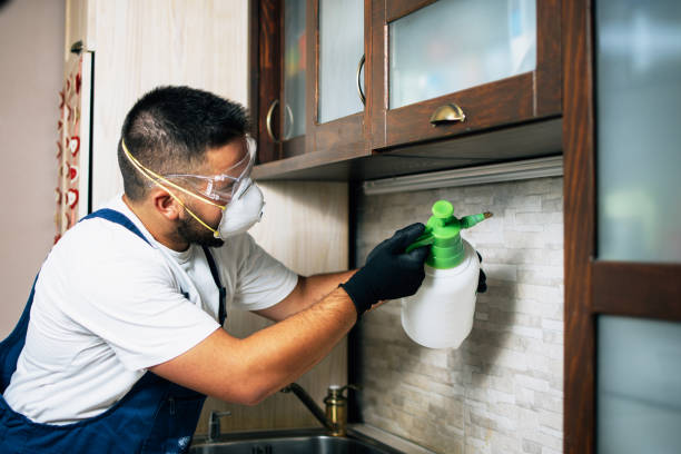 Best Cockroach Control Services  in Schwenksville, PA