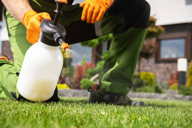 Best Mosquito Control Services  in Schwenksville, PA
