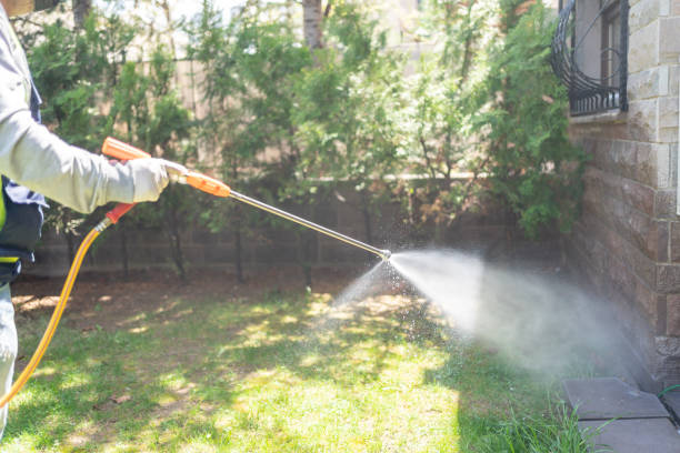 Best Pest Removal Services  in Schwenksville, PA