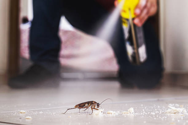 Best Pest Removal Services  in Schwenksville, PA